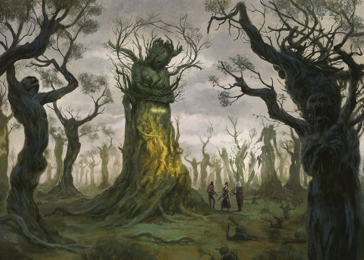 Card illustration